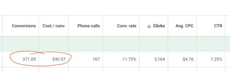 Google Ads results showing 371 conversions, 167 phone calls, and 11.73% conversion rate for a healthcare practice