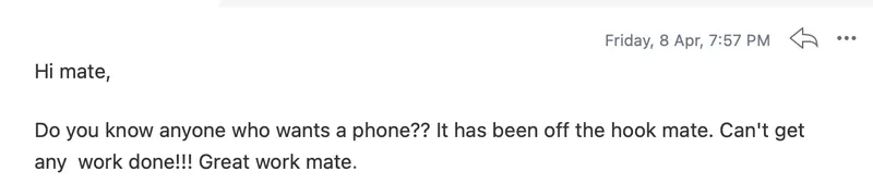 Client email reporting lead generation has been off the hook with so many phone enquiries they can't get work done