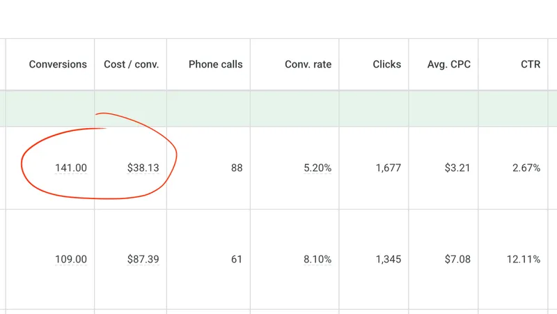 Google Ads results showing 250 conversions and 149 phone calls across two campaigns for a healthcare practice