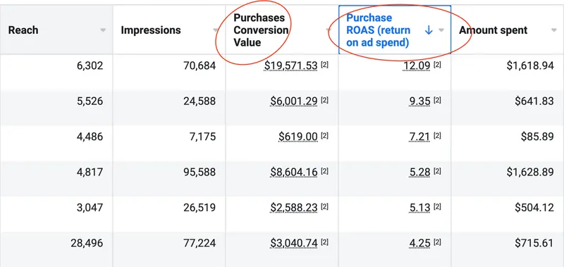 Meta Ads Manager table showing six campaigns with ROAS values ranging from 4.25x to 12.09x